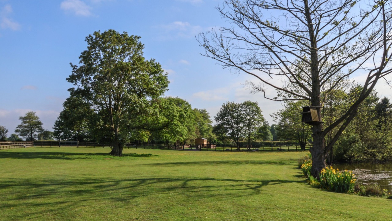 Photo of Others in Whitchurch