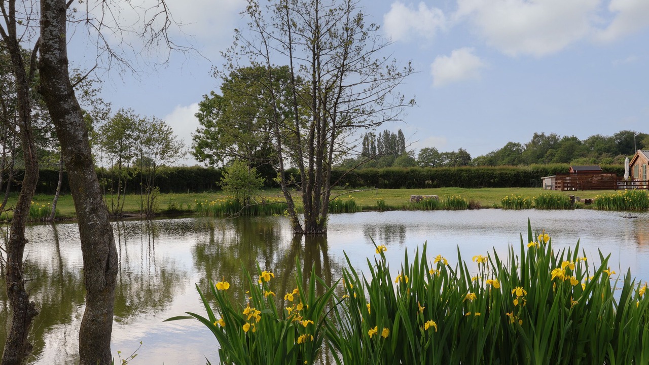 Photo of Outdoor in Whitchurch