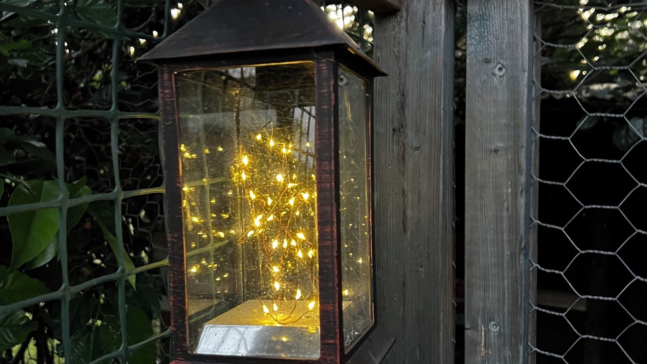 Photo of Outdoor in Alexandra Hills