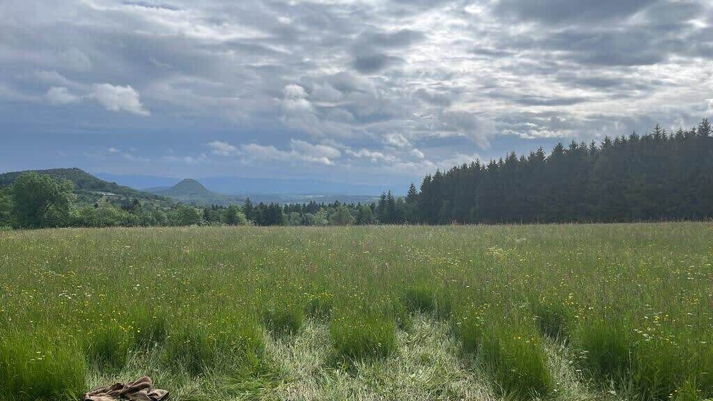 Photo of Outdoor in Yssingeaux