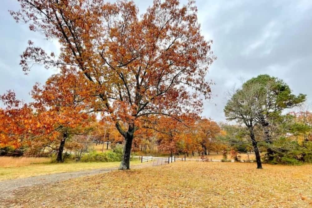 Photo of Outdoor in Farmington