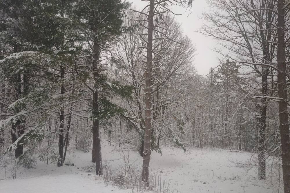 Photo of Others in Lanark Highlands