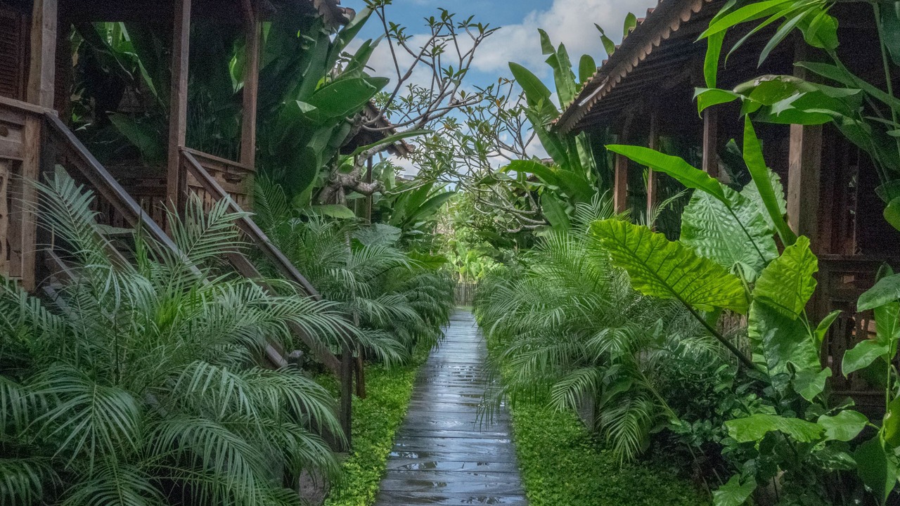 Photo of Outdoor in Batu Bolong