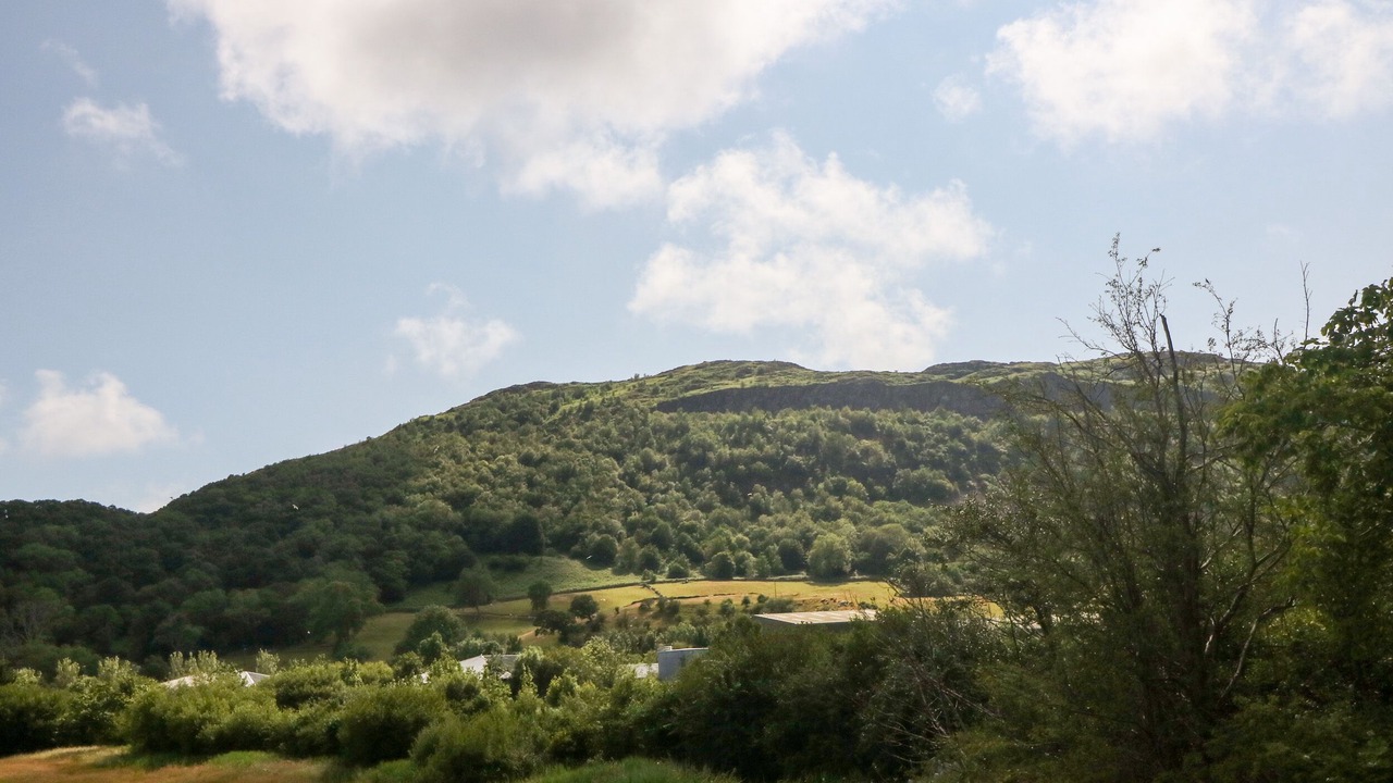 Photo of Others in Tremadog