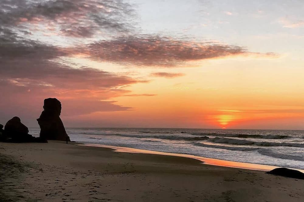 Photo of Others in Menemsha