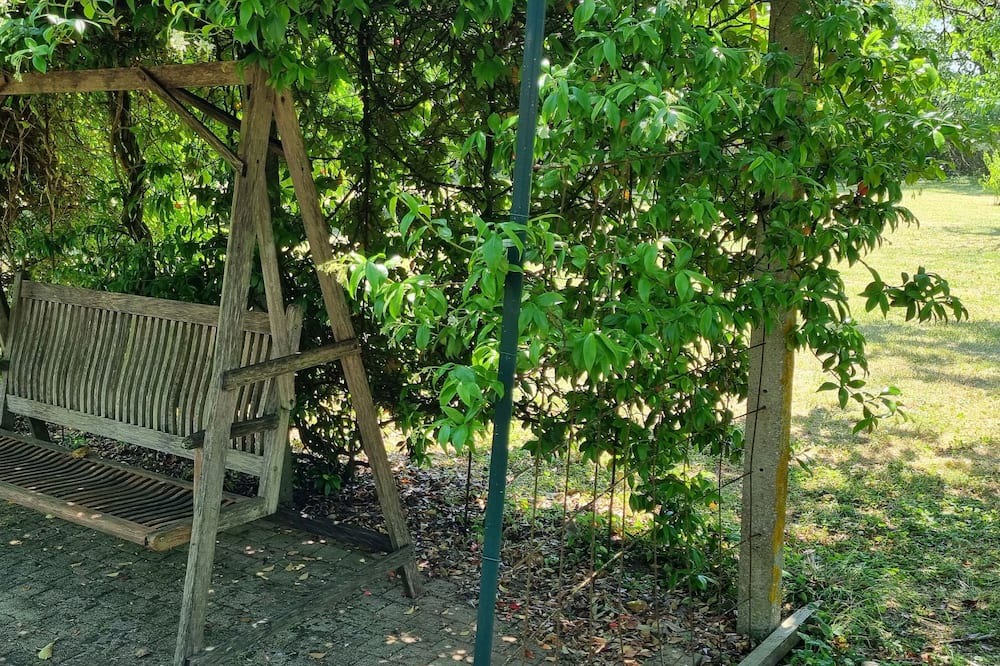 Photo of Outdoor in Nalliers