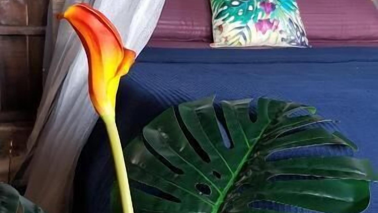 Photo of Others in Pulau Perhentian Kecil