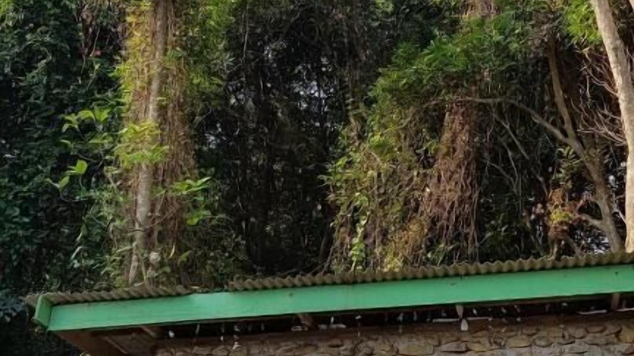 Photo of Outdoor in Pulau Perhentian Kecil