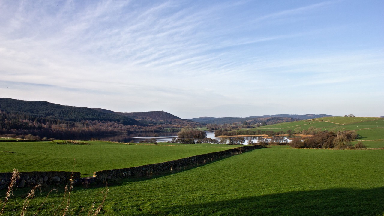 Photo of Others in Bankend