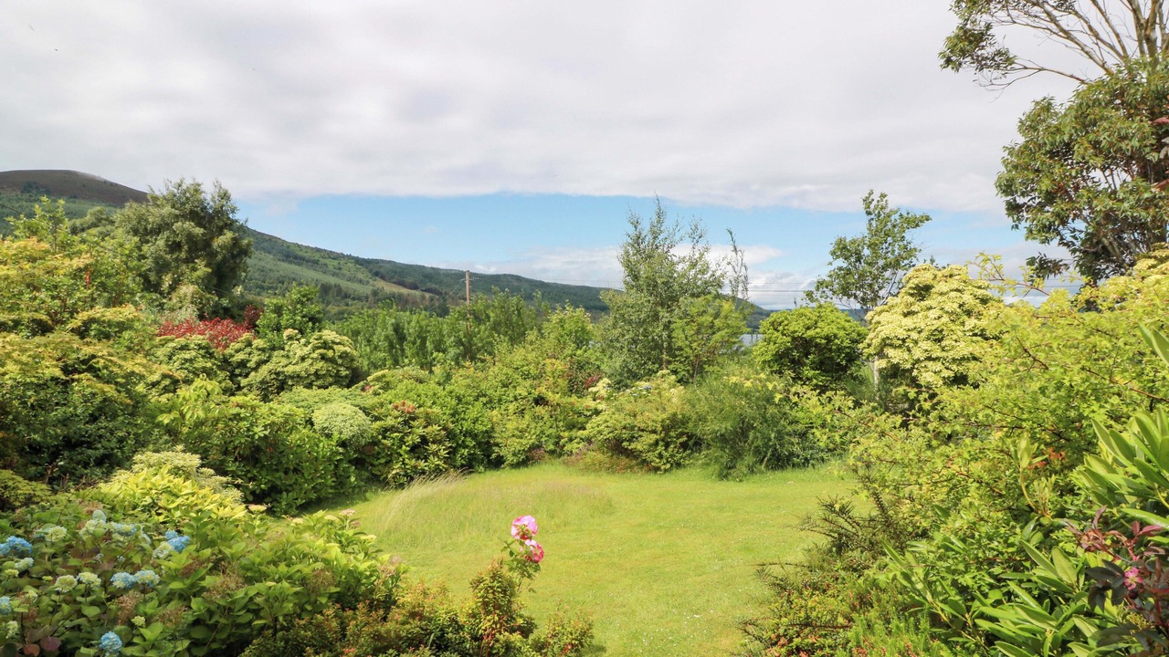 Photo of Others in Bankend