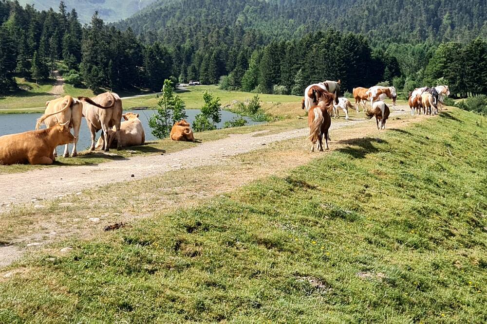 Photo of Outdoor in Campan