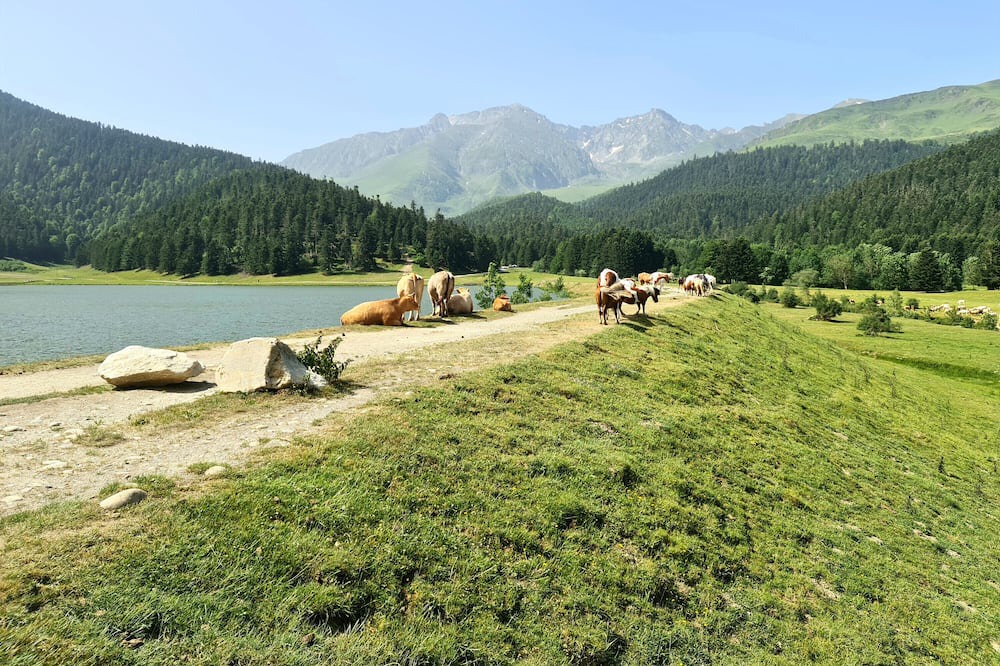Photo of Outdoor in Campan