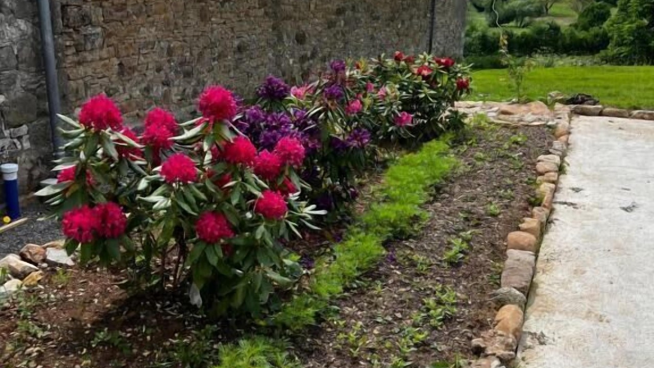 Photo of Outdoor in Fourmagnac