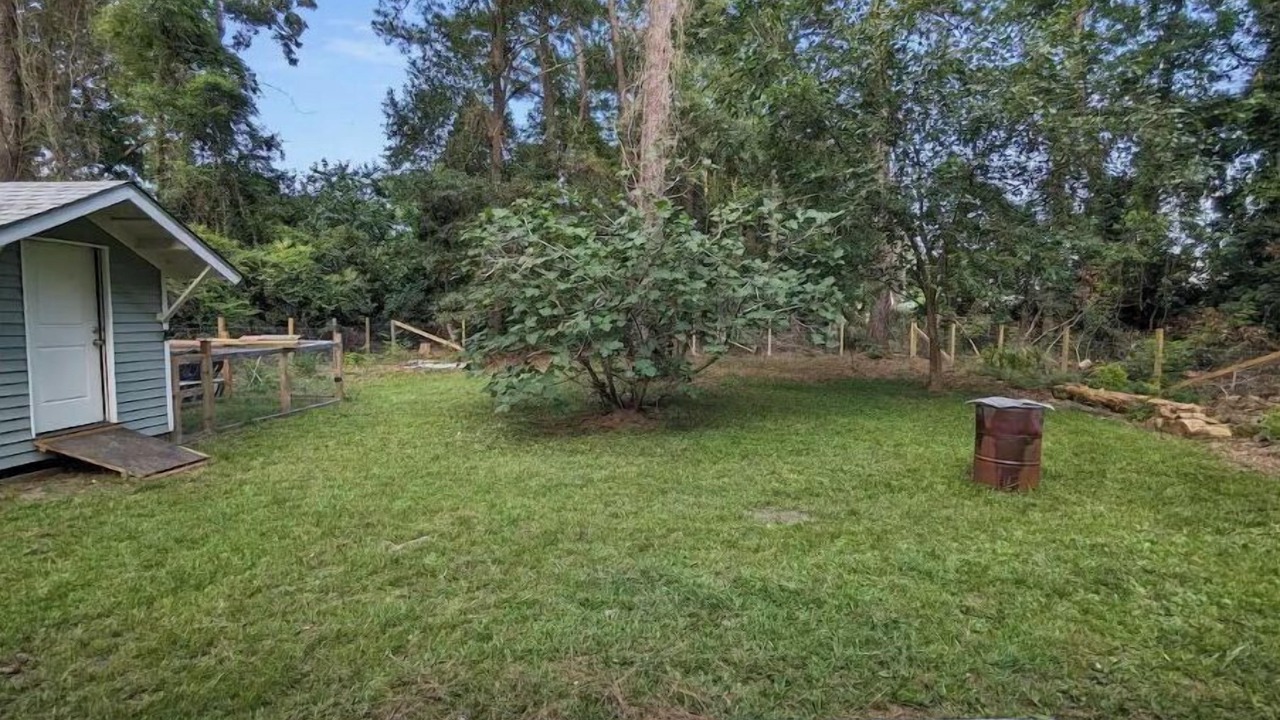 Photo of Outdoor in Midtown