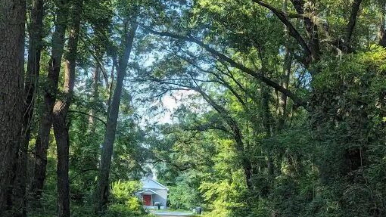 Photo of Outdoor in Midtown