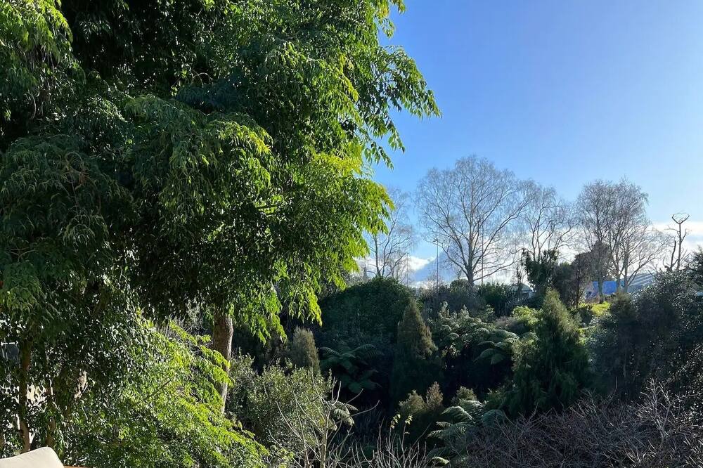 Photo of Outdoor in Tauranga