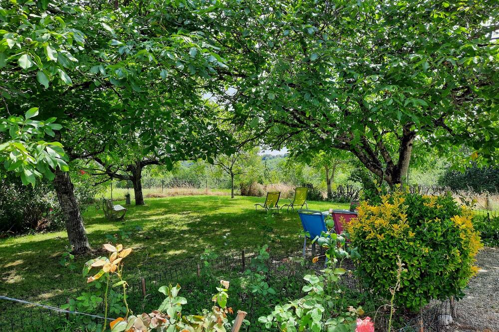 Photo of Outdoor in Lamothe-Capdeville