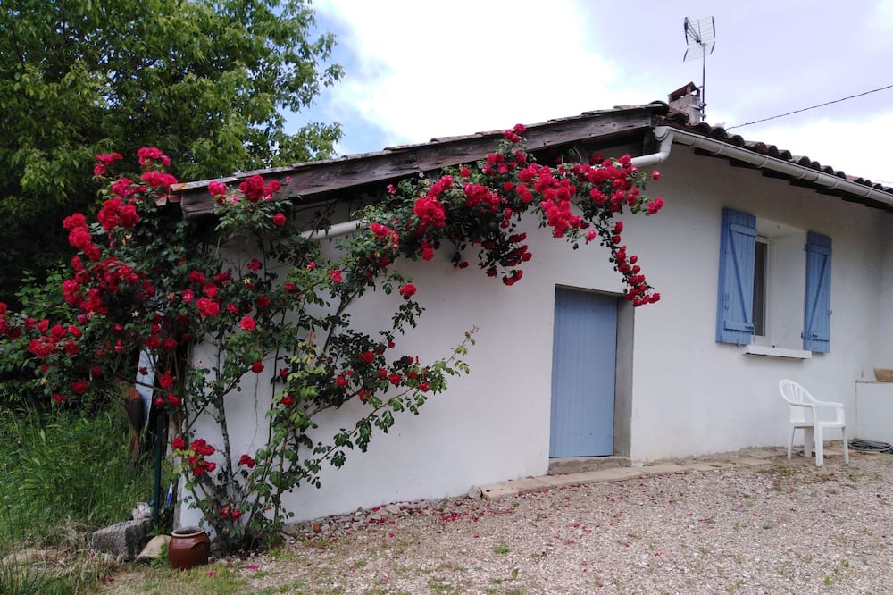 Photo of Outdoor in Lamothe-Capdeville