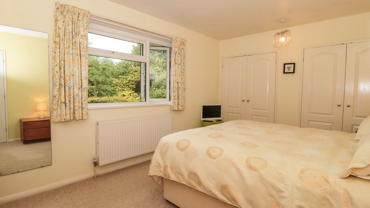 Photo of Others in Plush