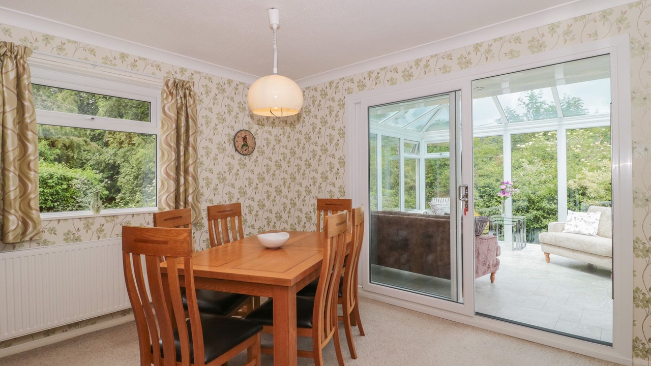 Photo of Others in Plush