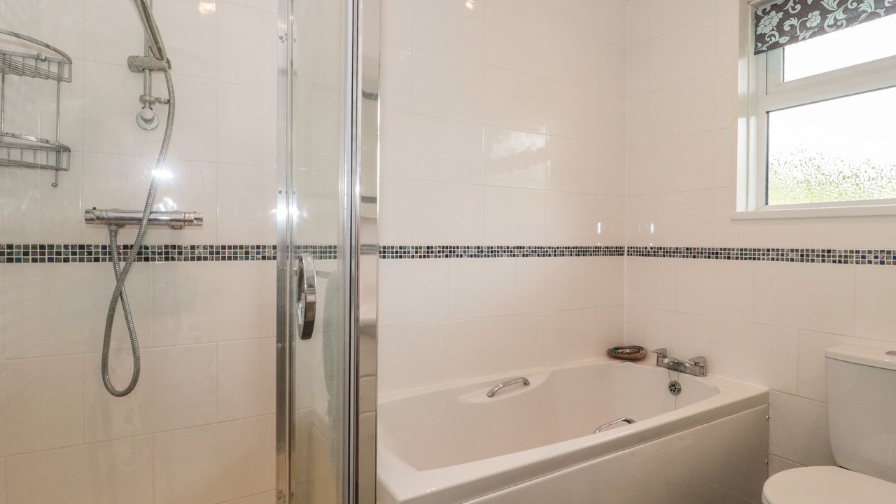 Photo of Others in Plush