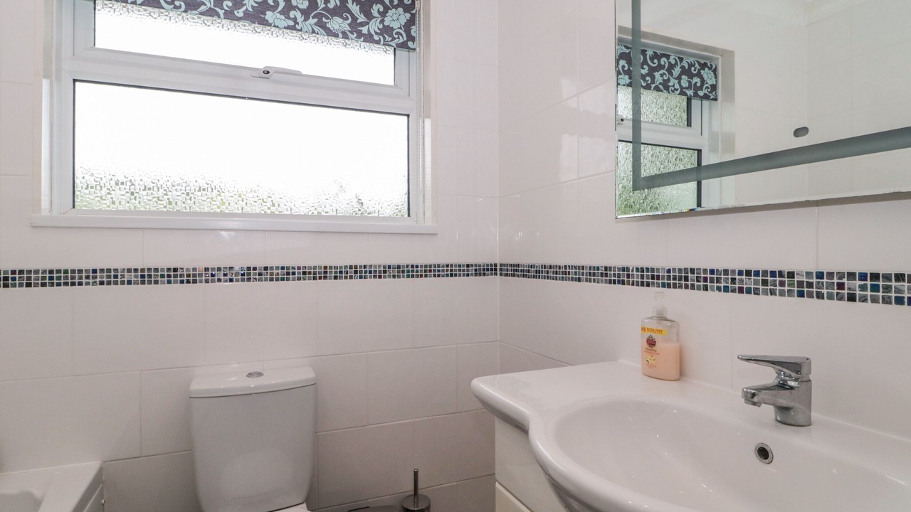 Photo of Others in Plush