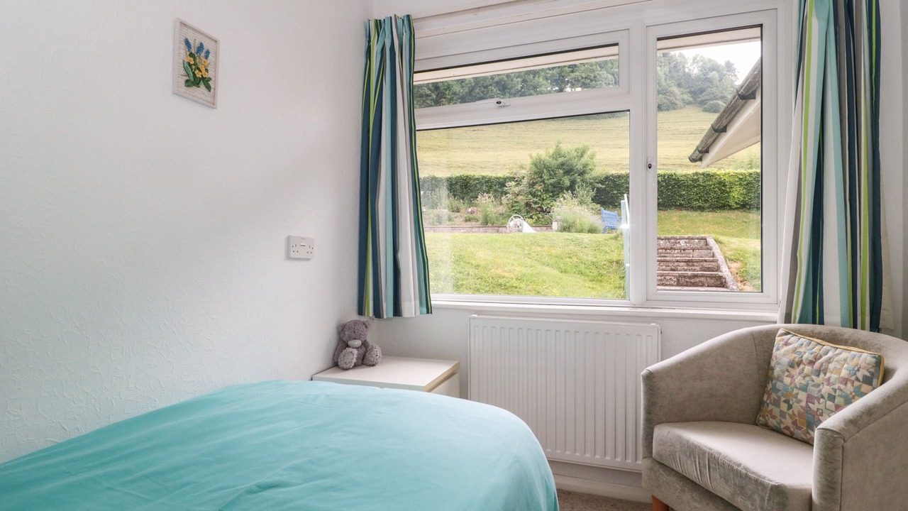 Photo of Others in Plush