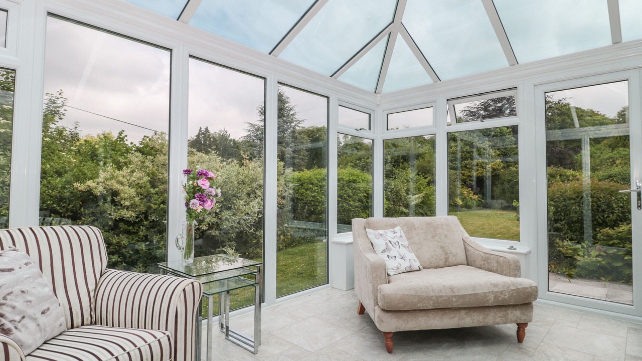 Photo of Others in Plush