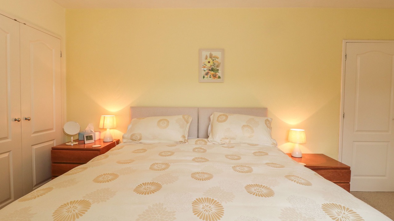 Photo of Others in Plush