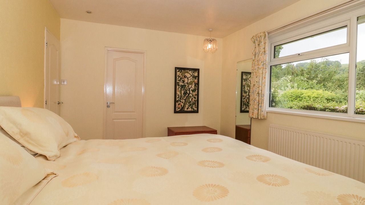 Photo of Others in Plush