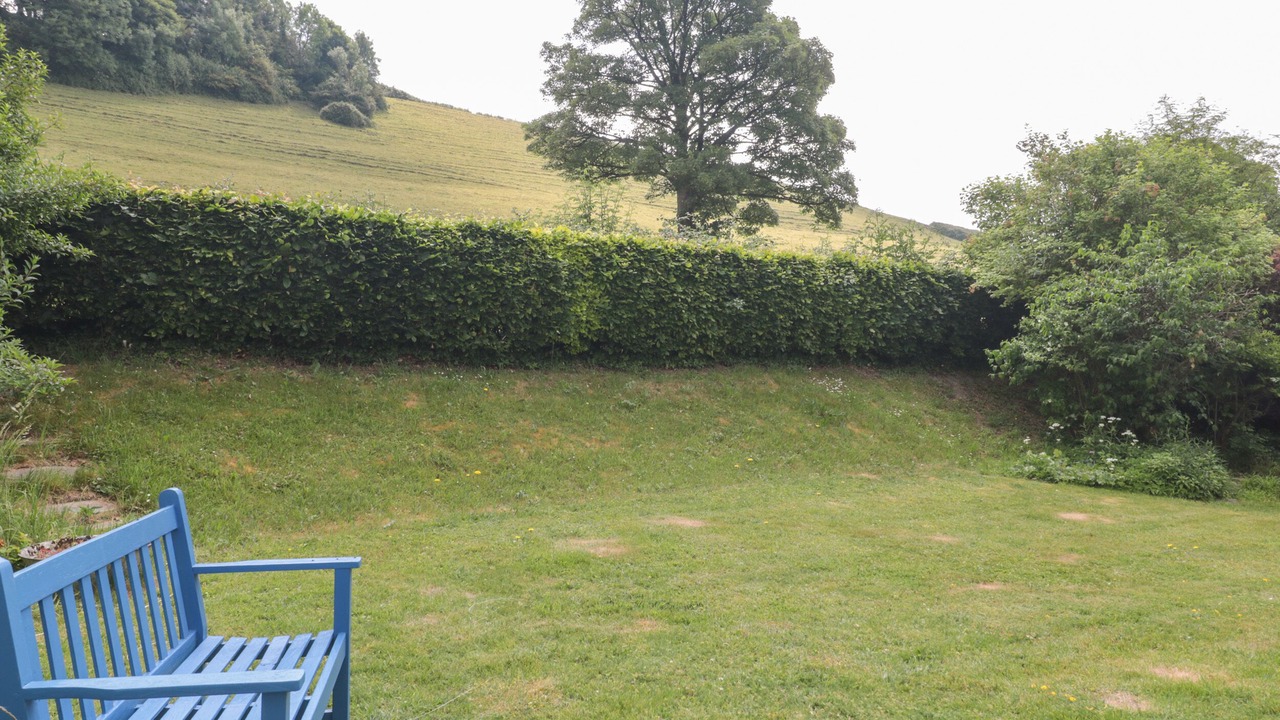 Photo of Outdoor in Plush