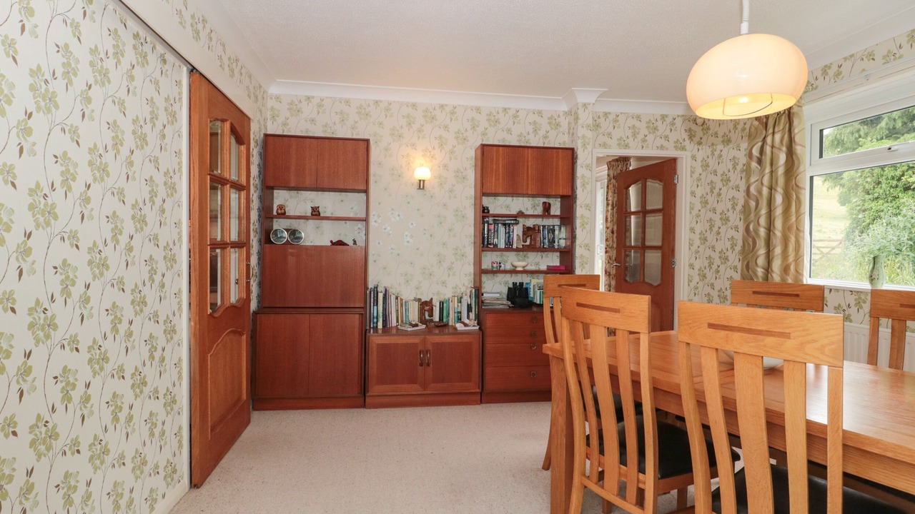 Photo of Others in Plush