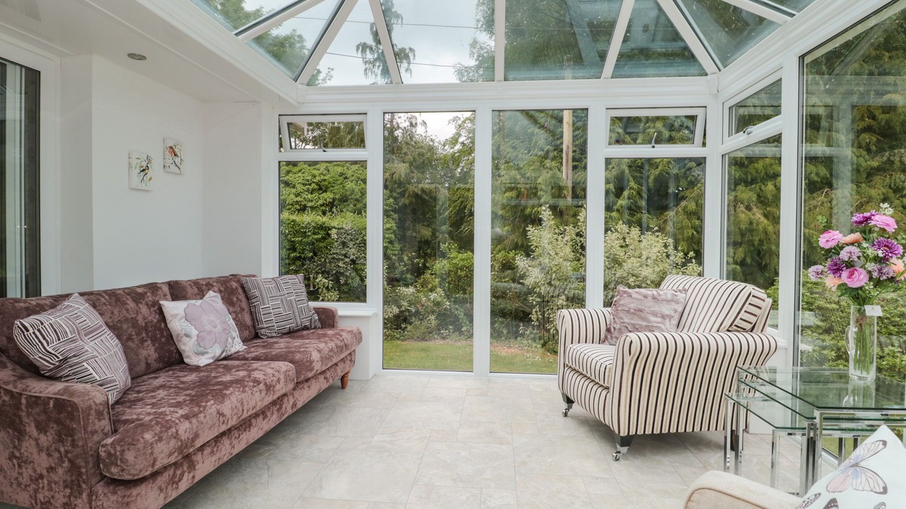 Photo of Others in Plush