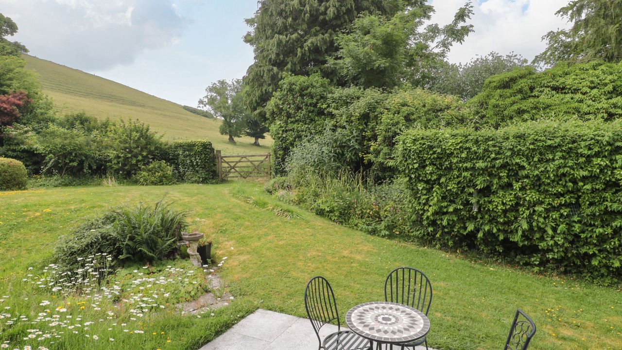 Photo of Outdoor in Plush