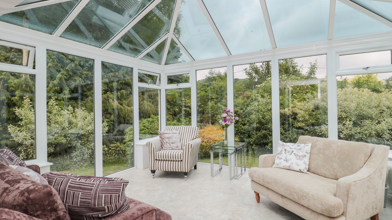 Photo of Others in Plush