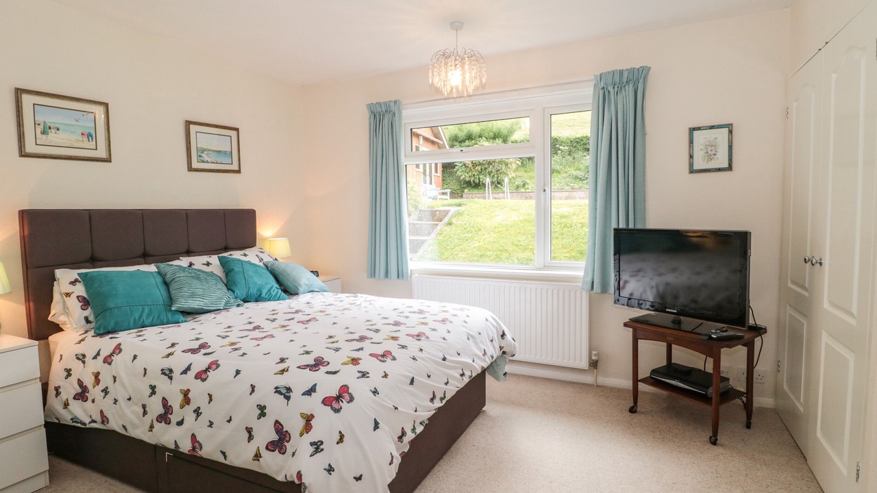 Photo of Others in Plush