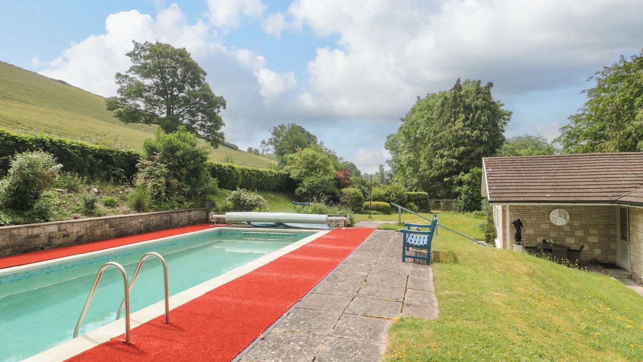 Photo of Others in Plush