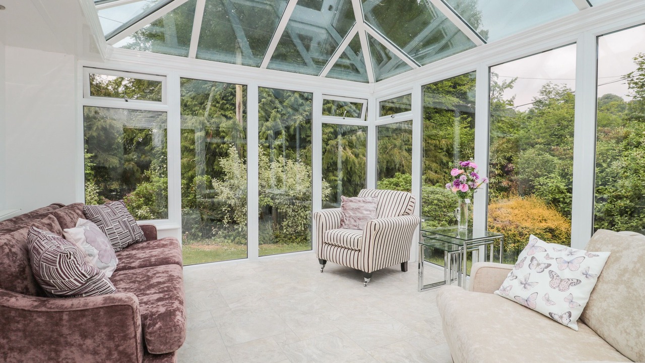 Photo of Others in Plush