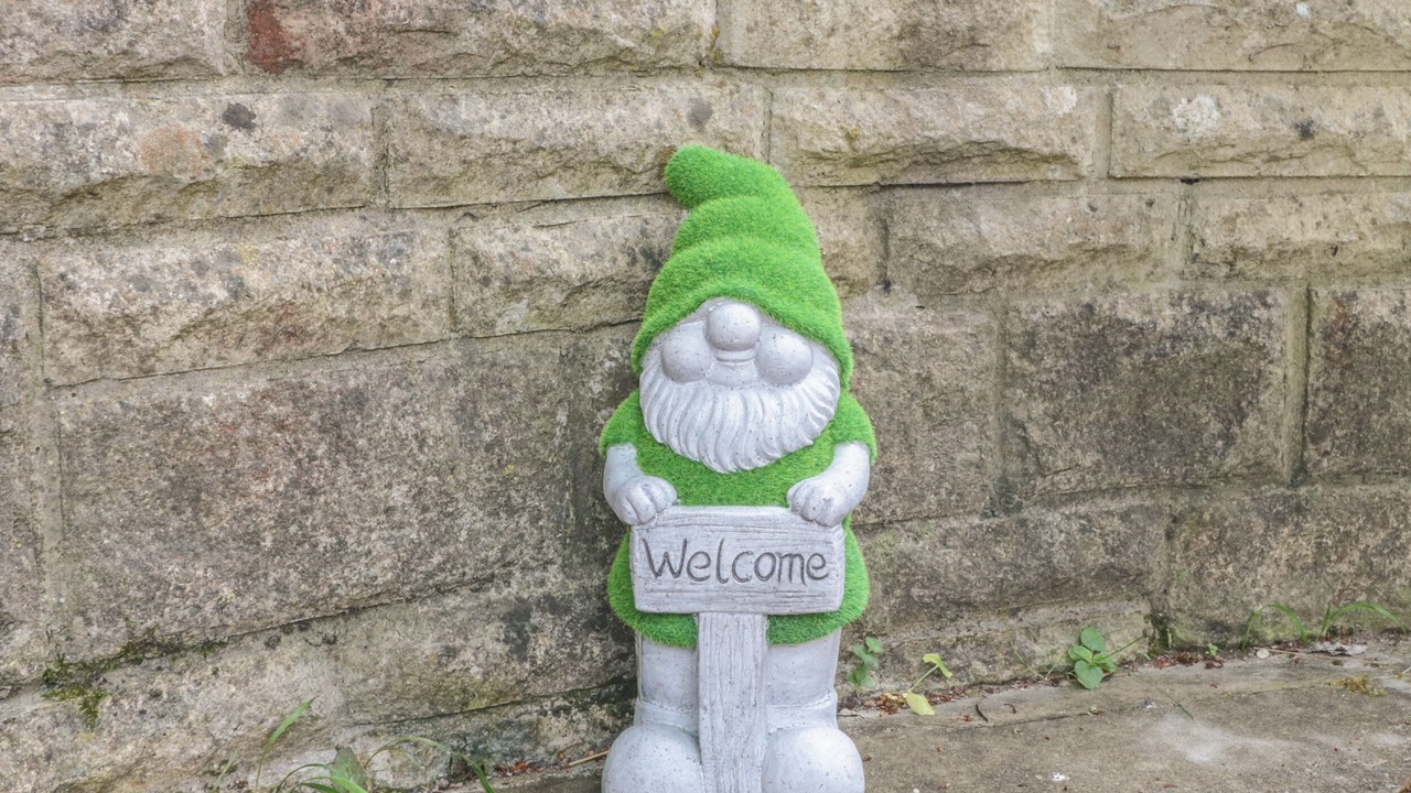 Photo of Others in Plush