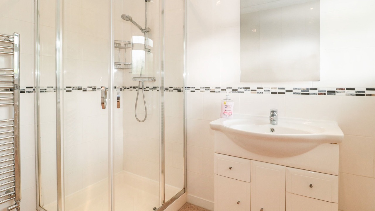 Photo of Others in Plush