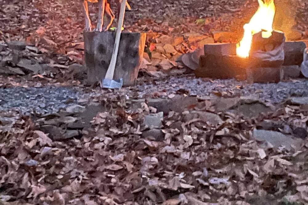 Photo of Outdoor in Bean Station