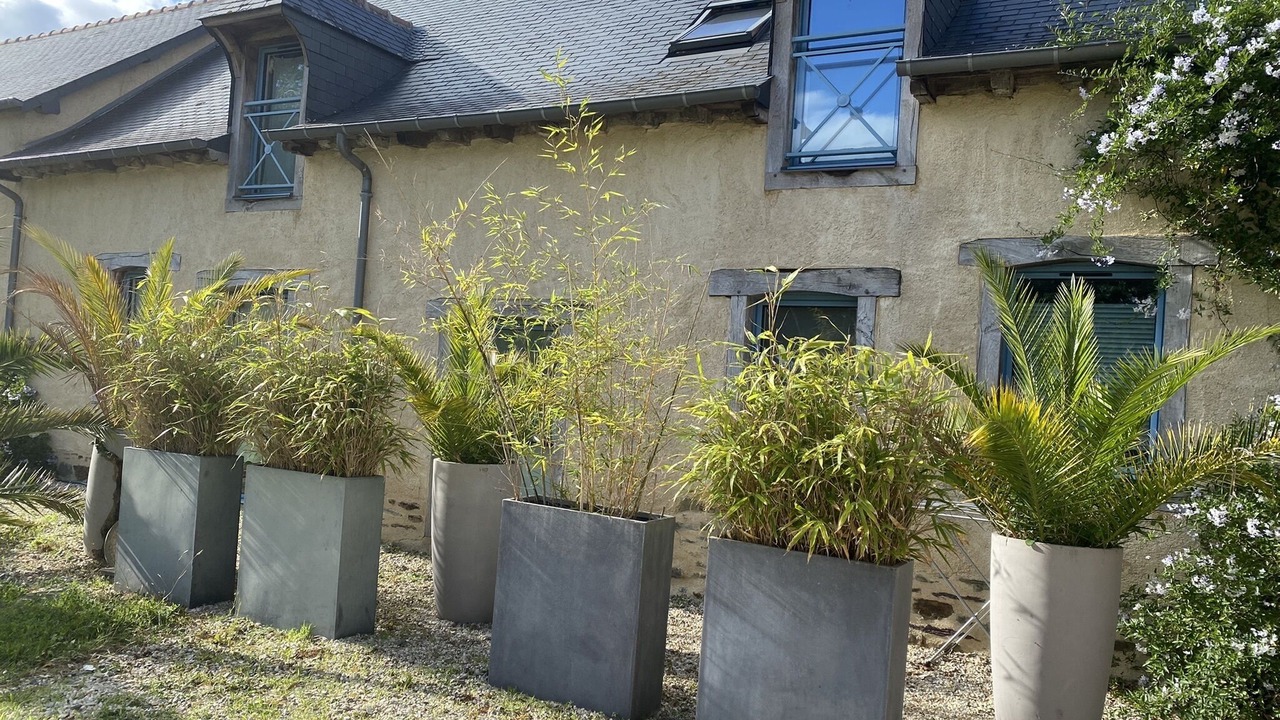 Photo of Outdoor in Vern-sur-Seiche