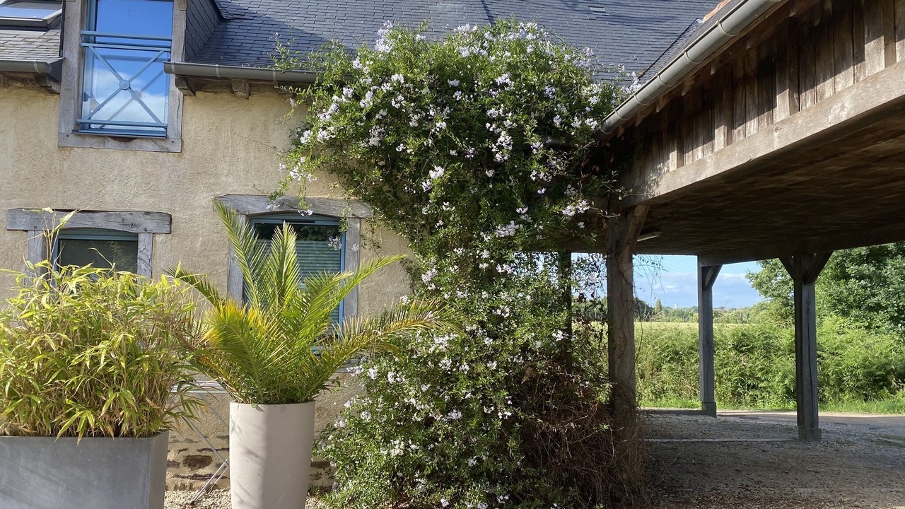 Photo of Outdoor in Vern-sur-Seiche