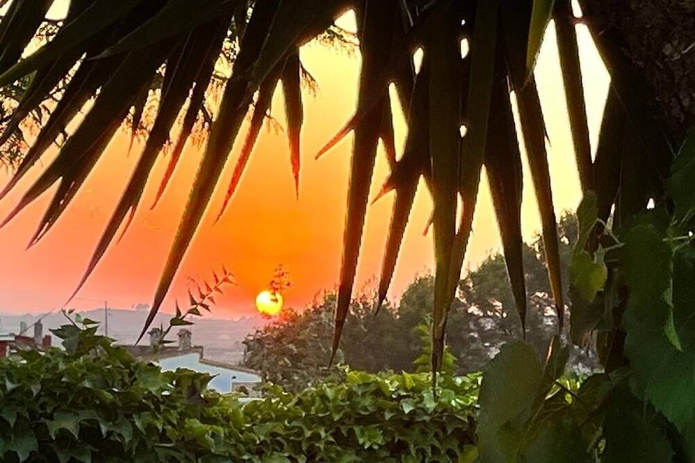Photo of Outdoor in Terrateig