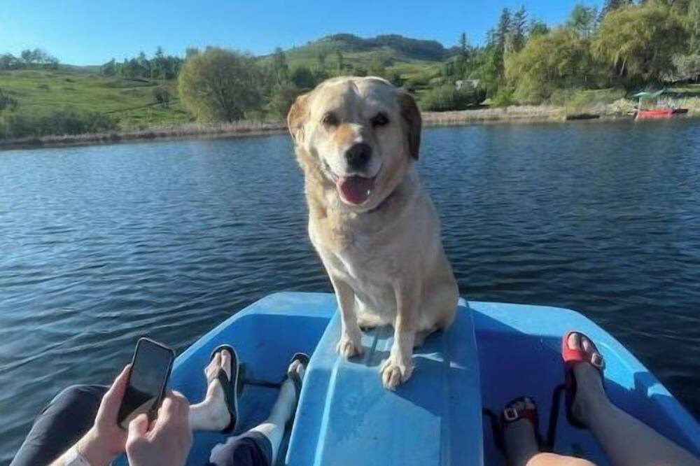 Photo of Others in Kettle Falls