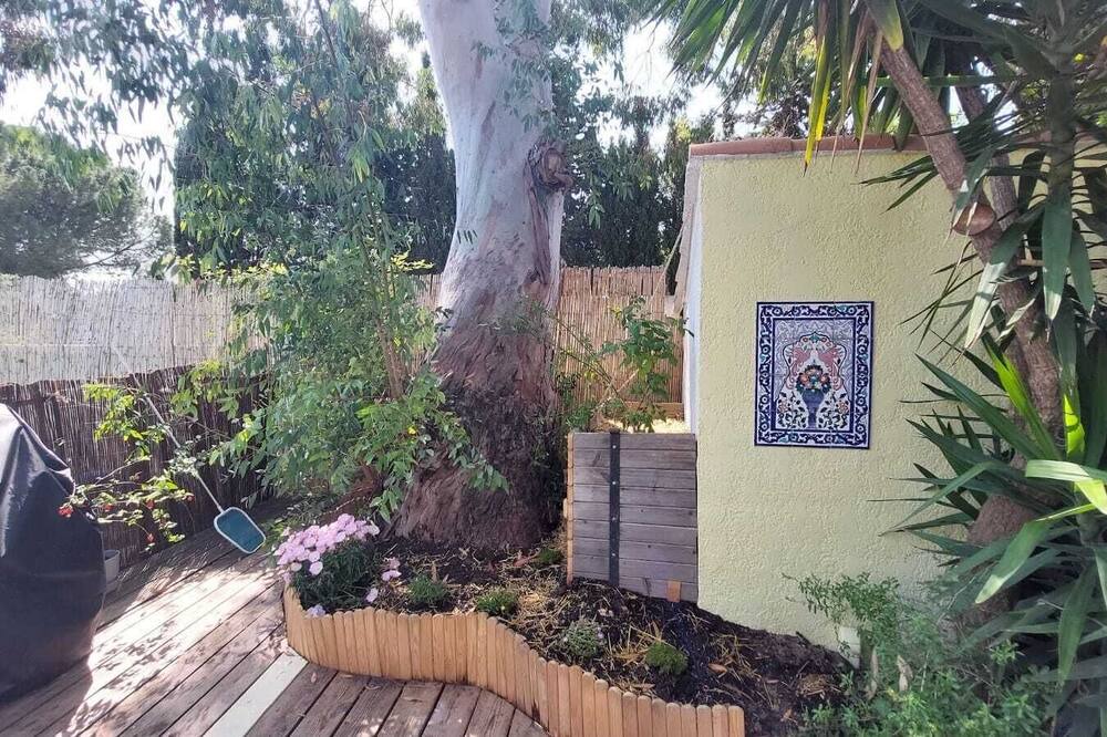 Photo of Outdoor in Alco