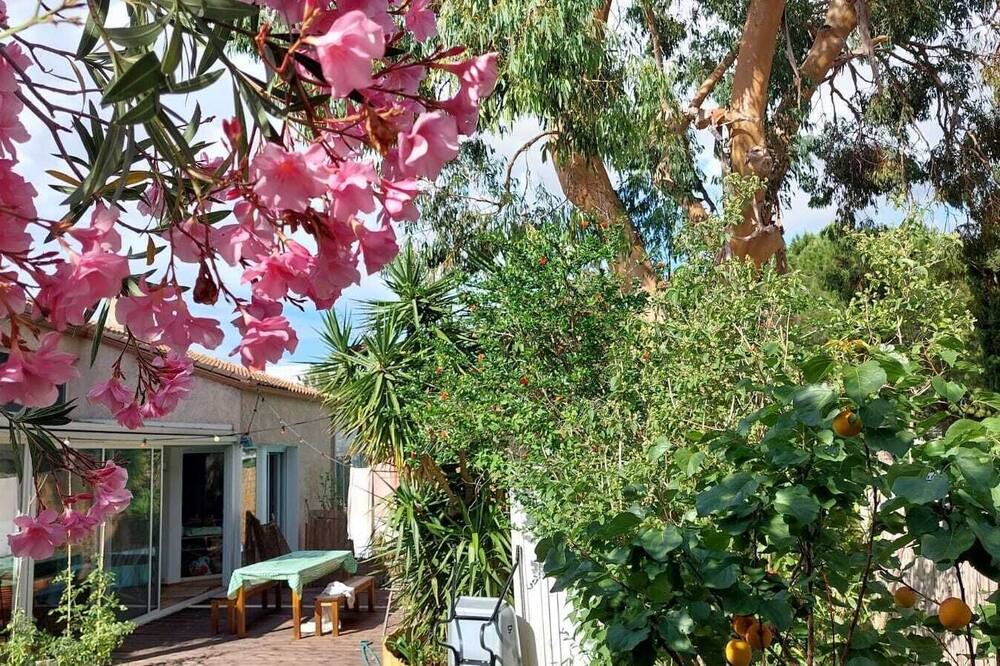 Photo of Outdoor in Alco