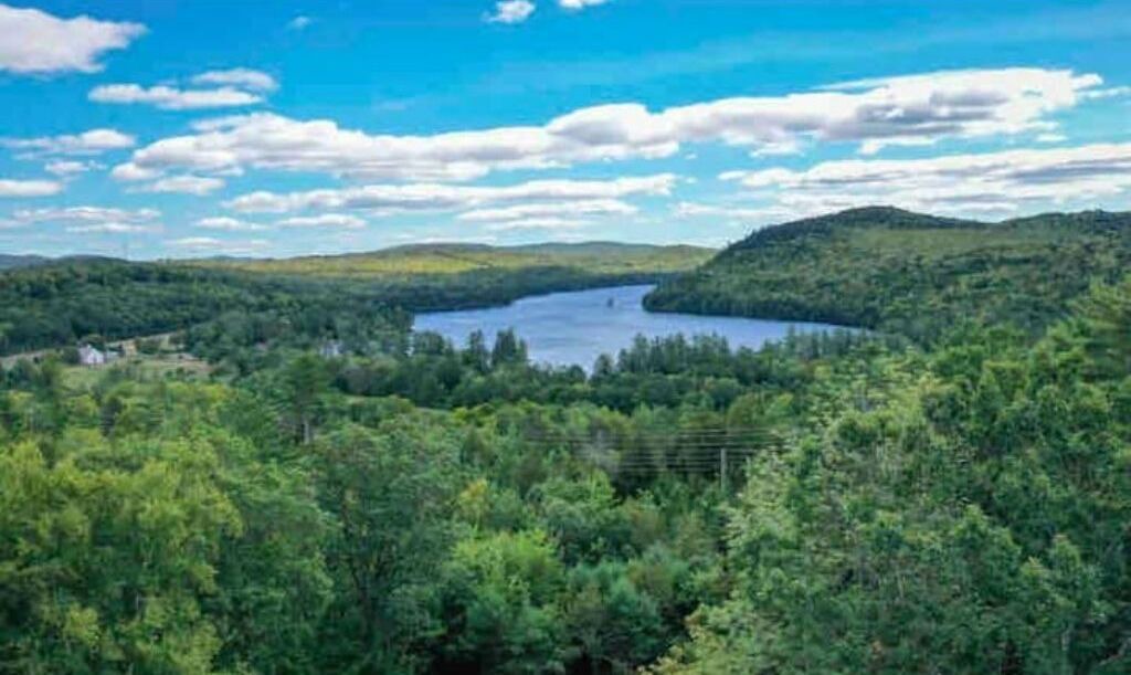 Photo of Others in Bryant Pond