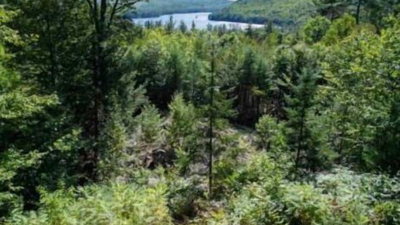Photo of Outdoor in Bryant Pond