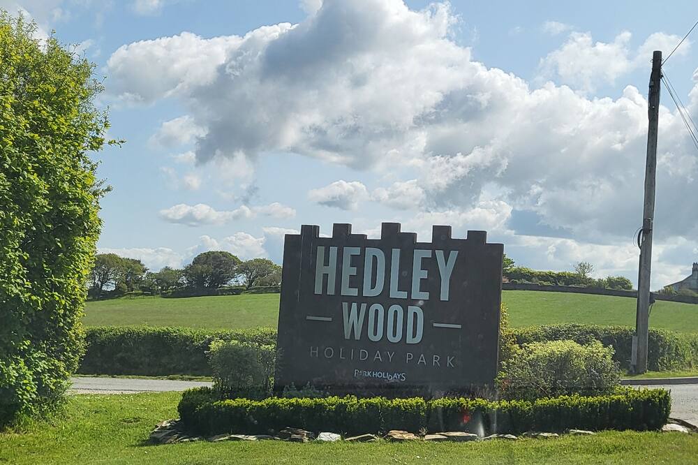 Photo of Others in Widemouth Bay